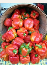 Olden Organics Red Peppers