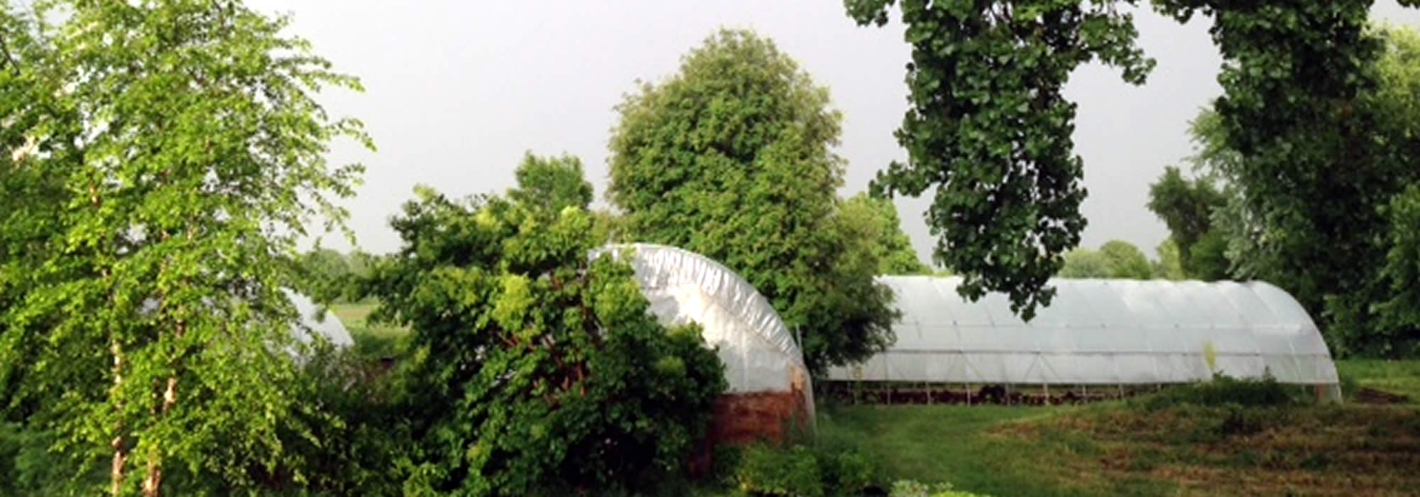 Awards/Grants Olden Organics