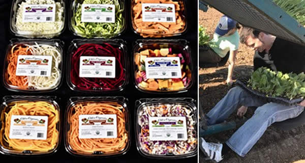 Certified Organic Crop Production