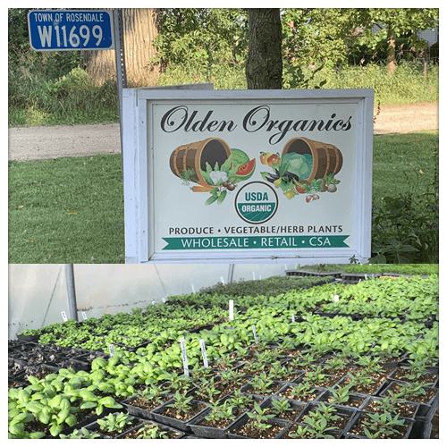 Organic Farm Produce in Appleton