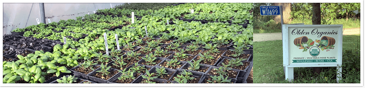 Organic Farm Produce in Appleton